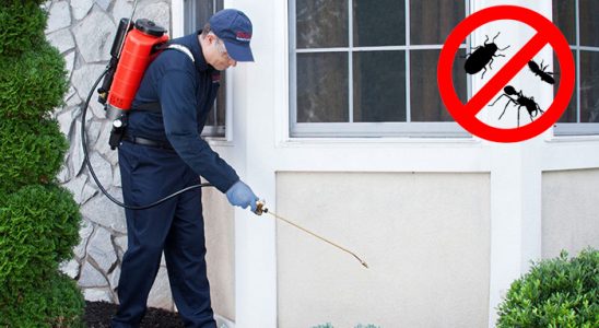 Zara Hamam Böceği İlaçlama böcek ilaçlama ve haşere kontrolü — ilaclama-tr.com